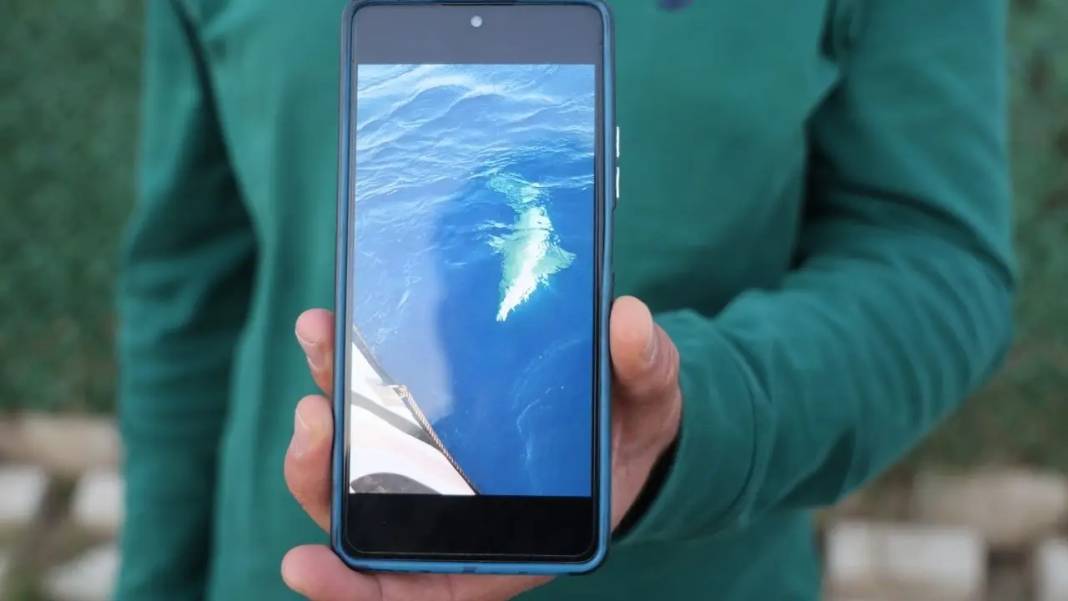 Hatay’da Köpek Balığı Paniği: Botu Batırabilir Diye Korktular! 3